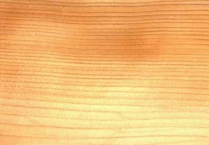 Zeder Libanon Schnittholz,Drechselholz,Kantel,Brett,Bohlen,basteln